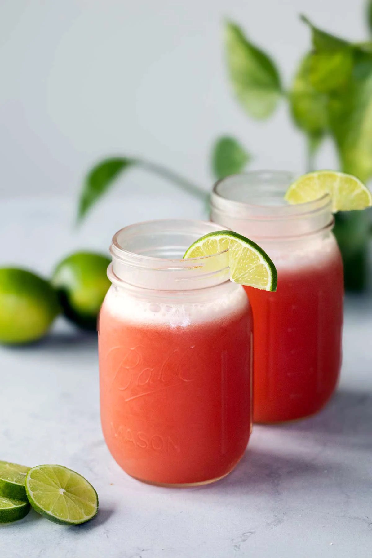 Watermelon press juice